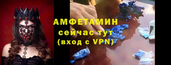 ГАЛЛЮЦИНОГЕННЫЕ ГРИБЫ Гусев