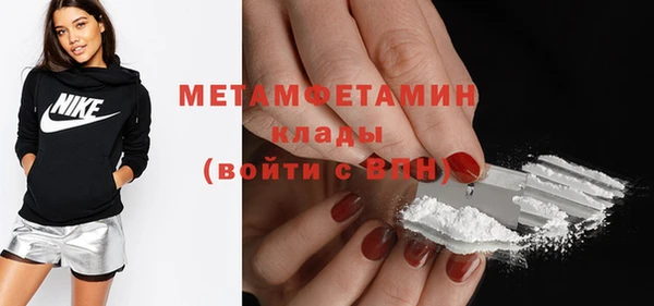 индика Горняк
