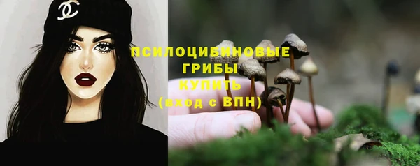 ГАЛЛЮЦИНОГЕННЫЕ ГРИБЫ Гусев
