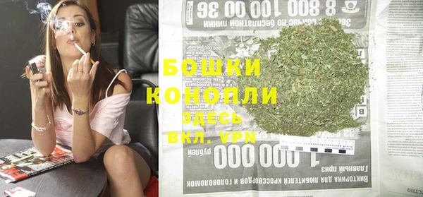 ГАЛЛЮЦИНОГЕННЫЕ ГРИБЫ Гусев