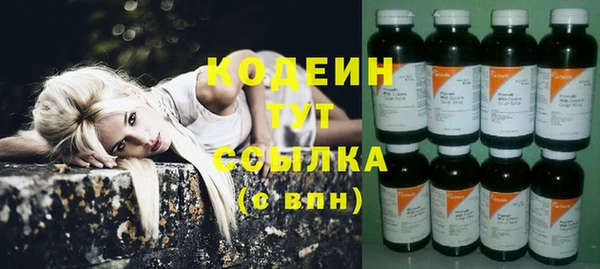 твердый Гусь-Хрустальный