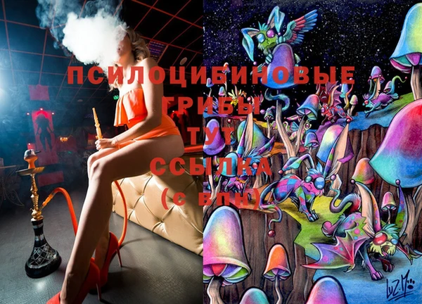 ГАЛЛЮЦИНОГЕННЫЕ ГРИБЫ Гусев