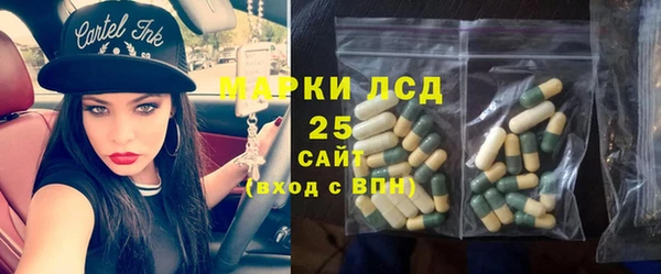 ГАЛЛЮЦИНОГЕННЫЕ ГРИБЫ Гусев